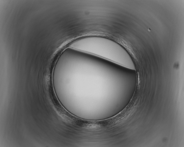 X0000098030348200803280736