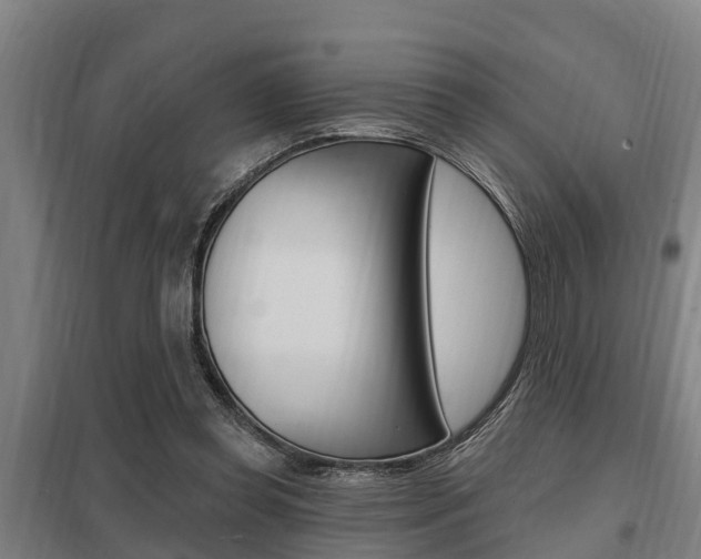 X0000098030349200803280736