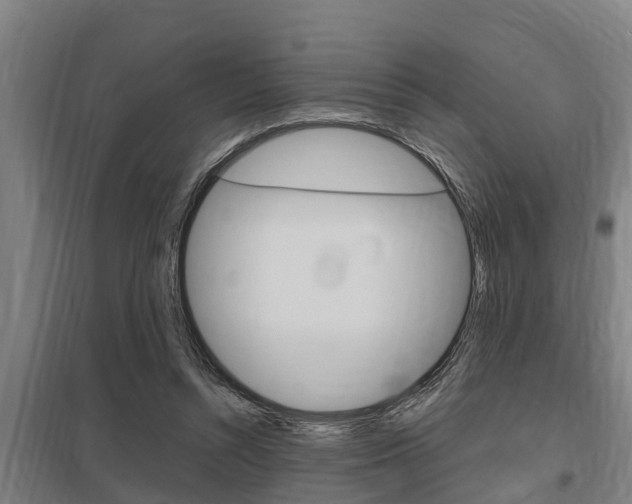 X0000098030352200803280736