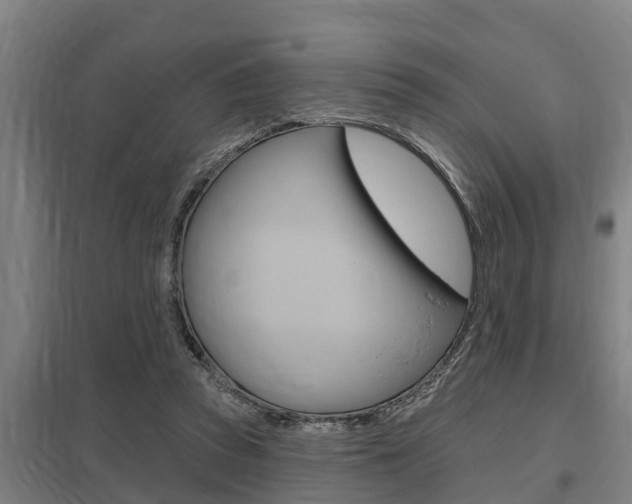 X0000098030353200803280736