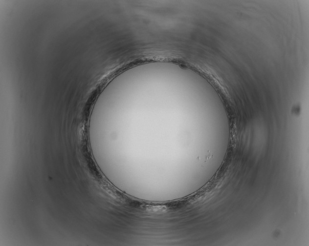 X0000098030355200803280736