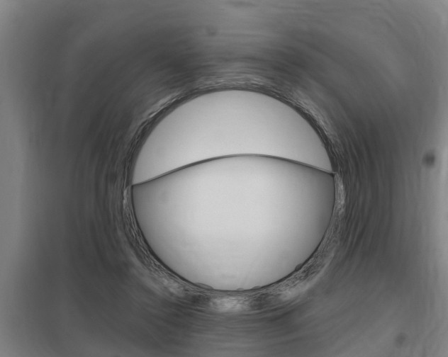 X0000098030356200803280736