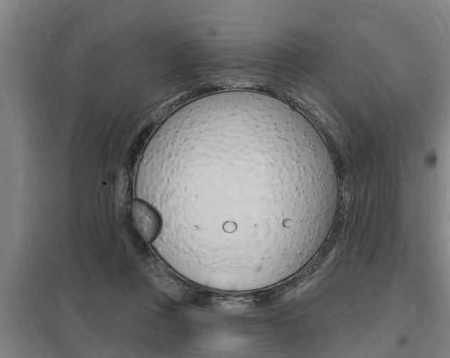X0000098030359200803280736