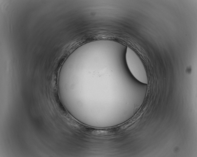 X0000098030361200803280736