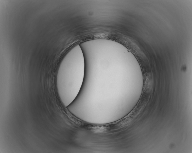 X0000098030363200803280737