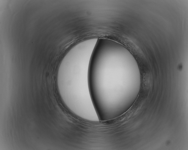 X0000098030364200803280737