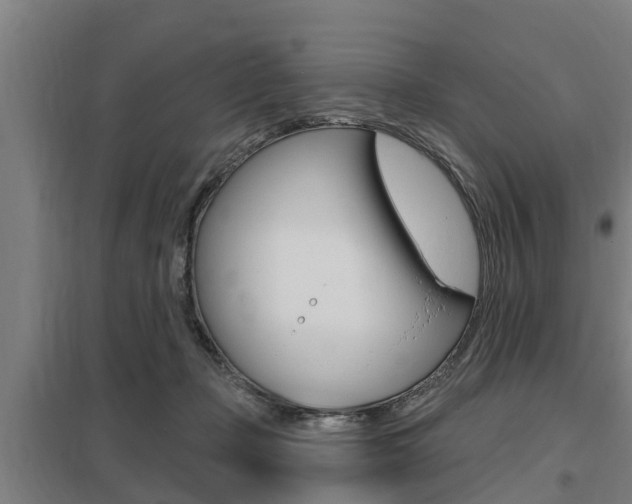 X0000098030365200803280737