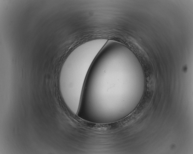 X0000098030368200803280737