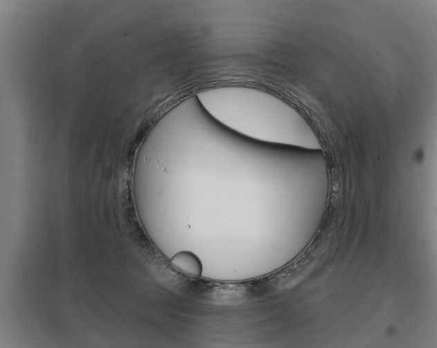 X0000098030369200803280737