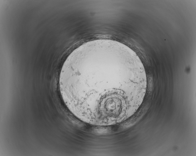 X0000098030370200803280737