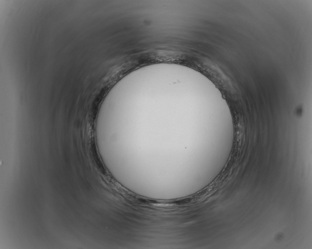 X0000098030371200803280737