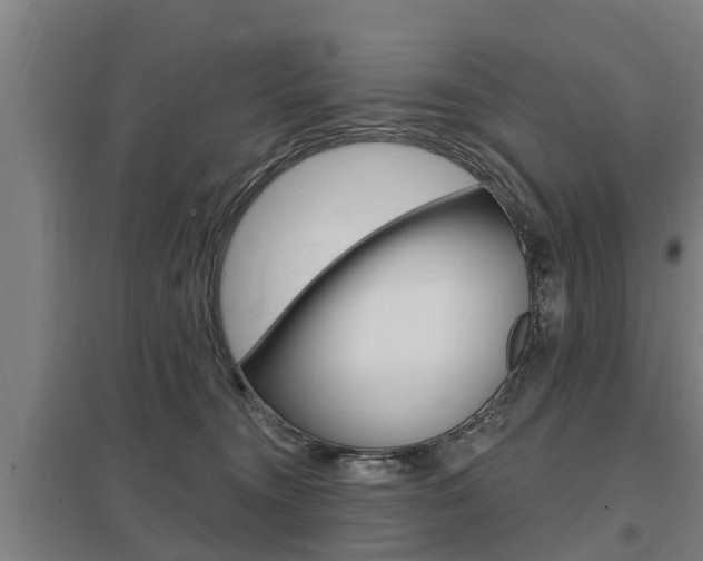 X0000098030372200803280737