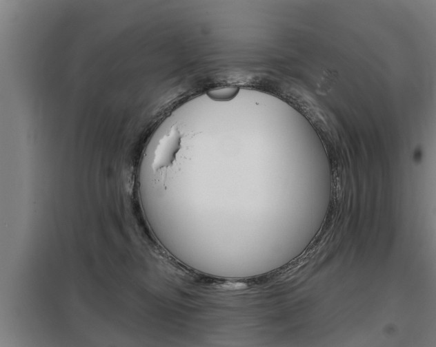 X0000098030374200803280737