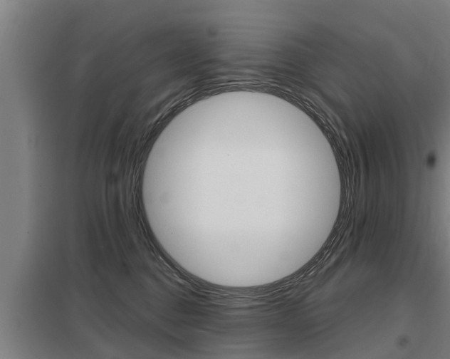 X0000098030376200803280737