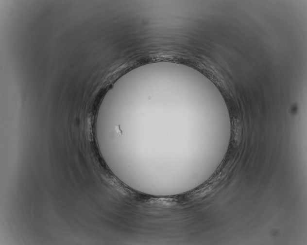 X0000098030378200803280737