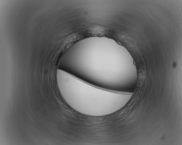 X0000098030379200803280737