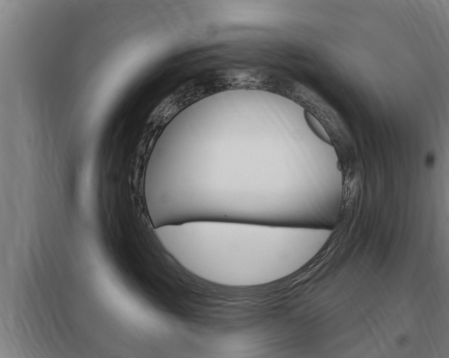 X0000098030381200803280737