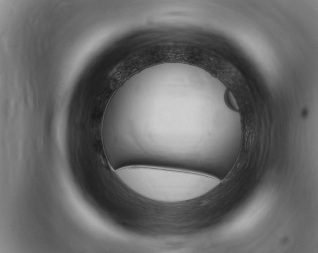 X0000098030383200803280737