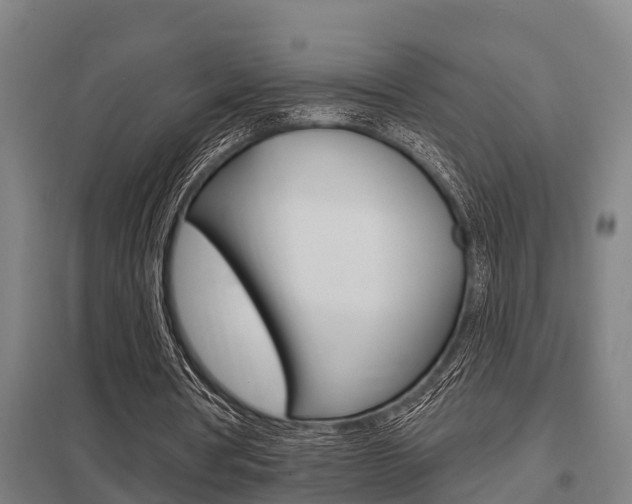X0000098030386200803280736