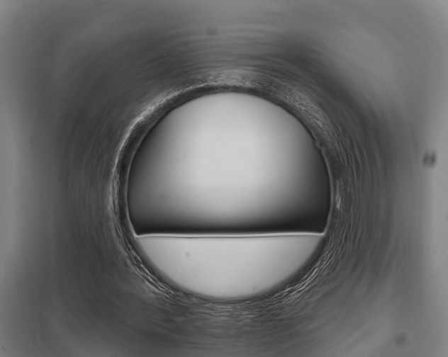 X0000098030388200803280736