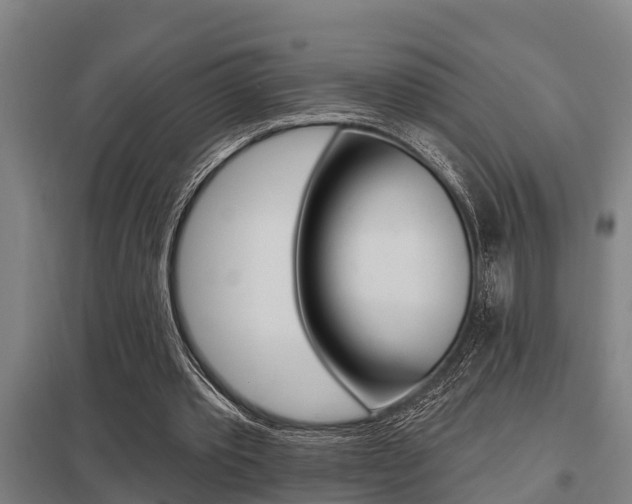 X0000098030389200803280736