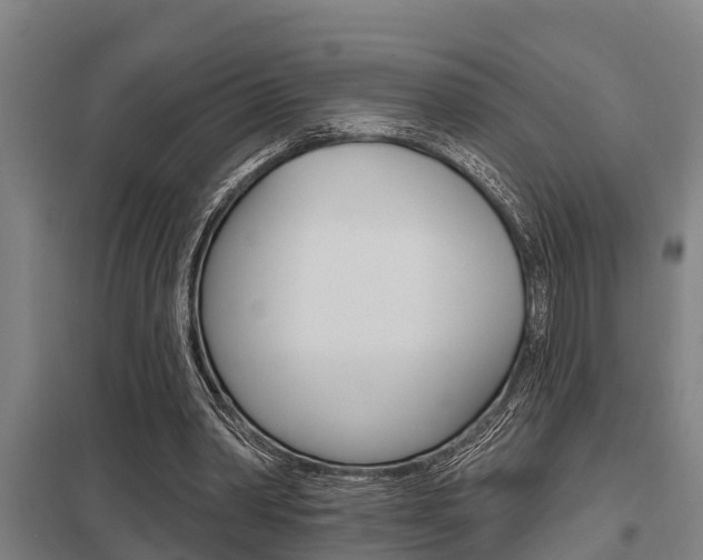 X0000098030390200803280736
