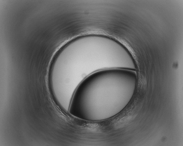 X0000098030391200803280736