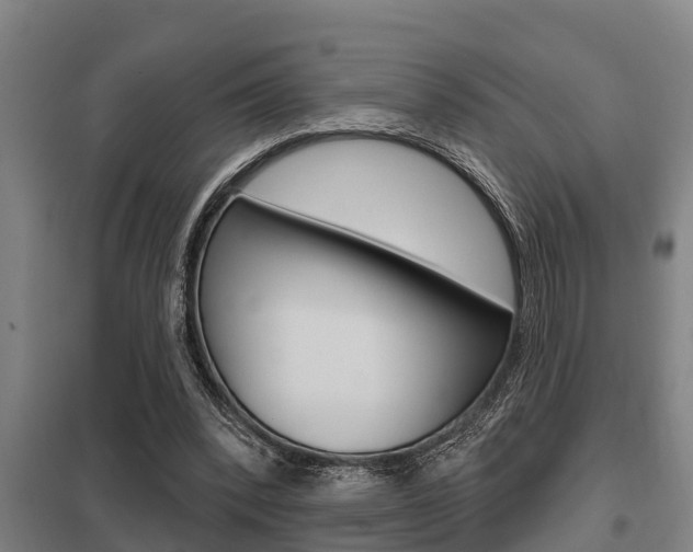 X0000098030392200803280736