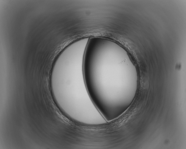 X0000098030393200803280736