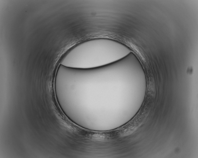 X0000098030394200803280736