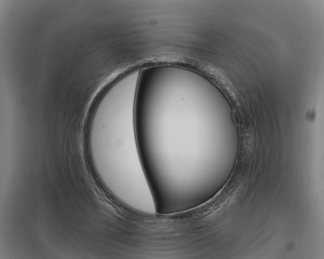X0000098030395200803280736