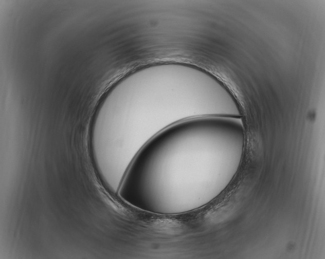 X0000098030397200803280736
