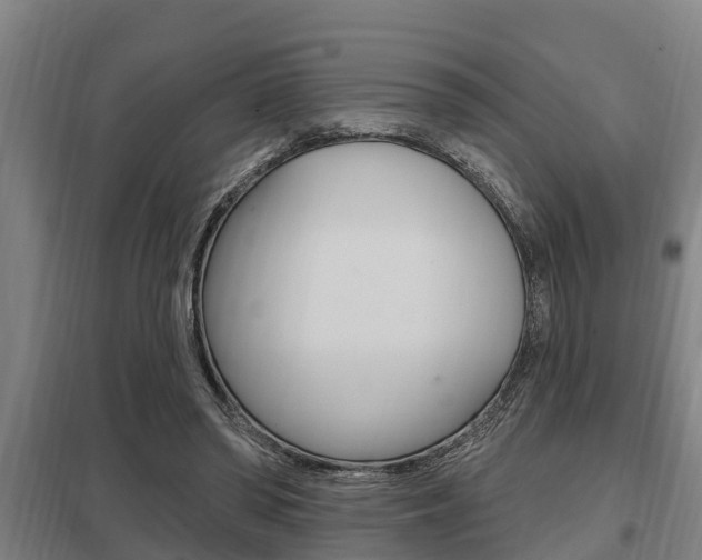 X0000098030398200803280736