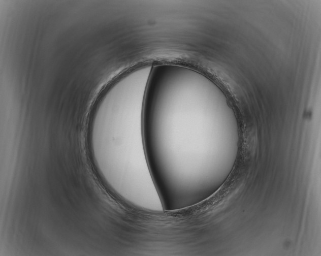 X0000098030399200803280736