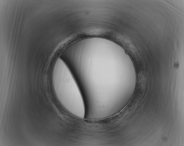 X0000098030400200803280736