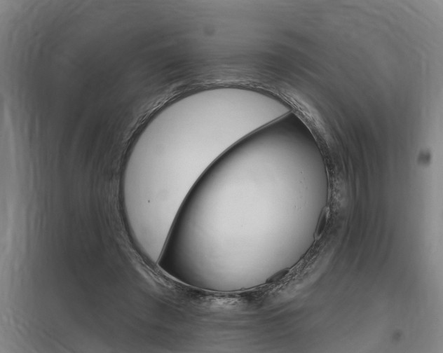 X0000098030401200803280736