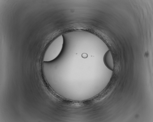 X0000098030402200803280736