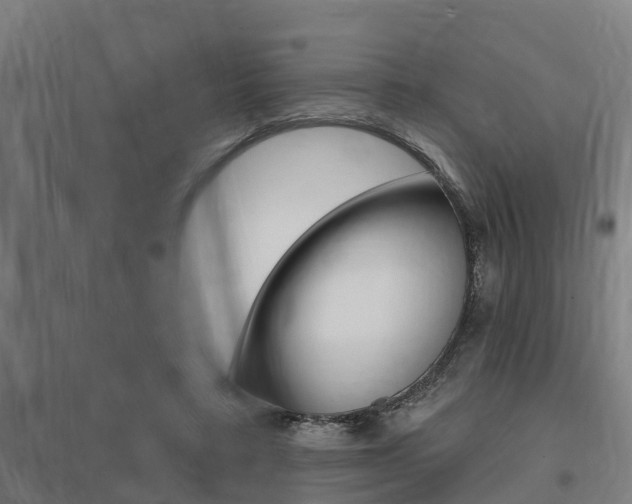 X0000098030403200803280736