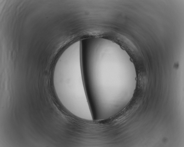 X0000098030404200803280736