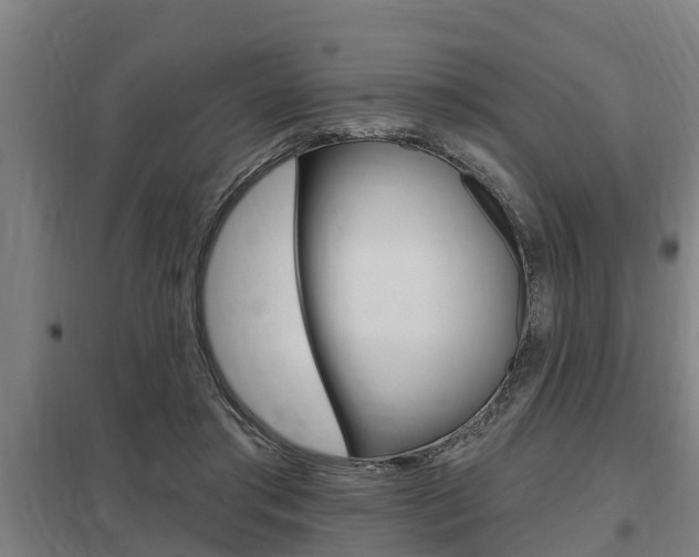 X0000098030405200803280736