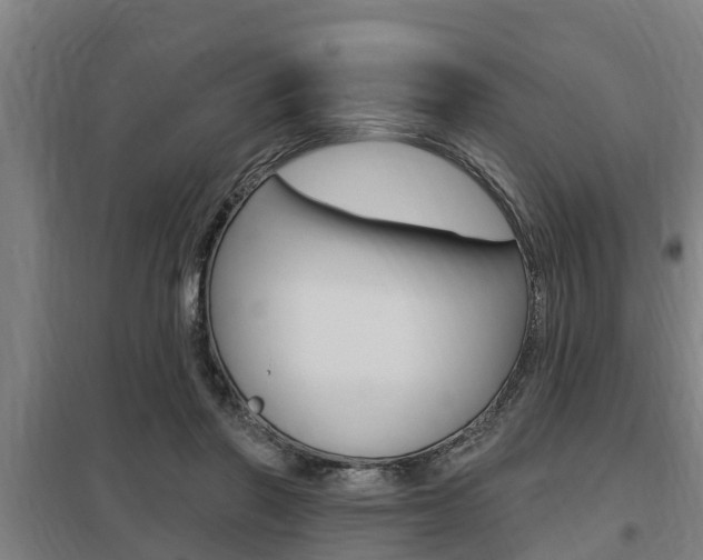 X0000098030406200803280736