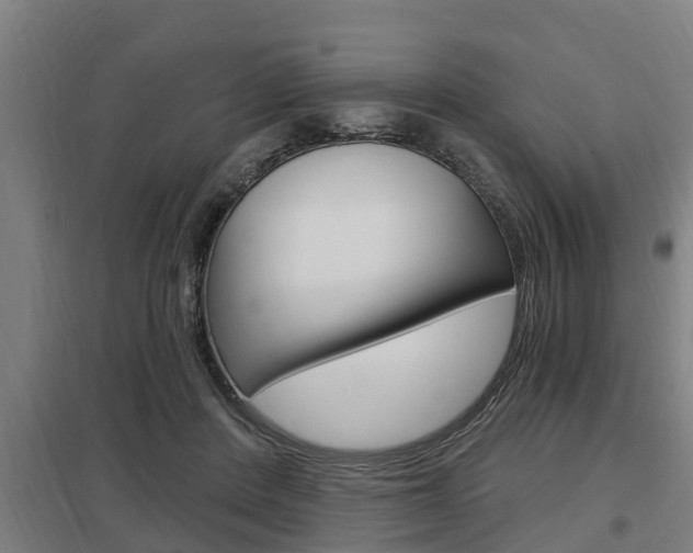 X0000098030408200803280736