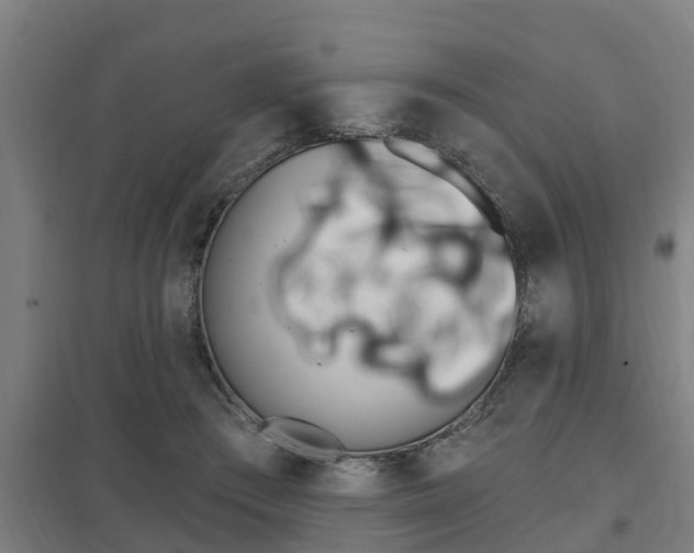 X0000098030409200803280736