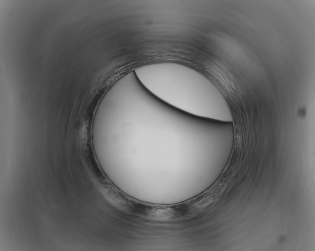 X0000098030410200803280736
