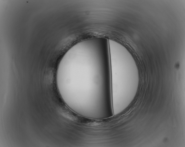 X0000098030412200803280736