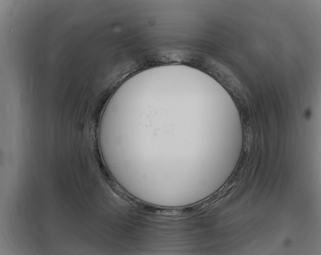 X0000098030414200803280736