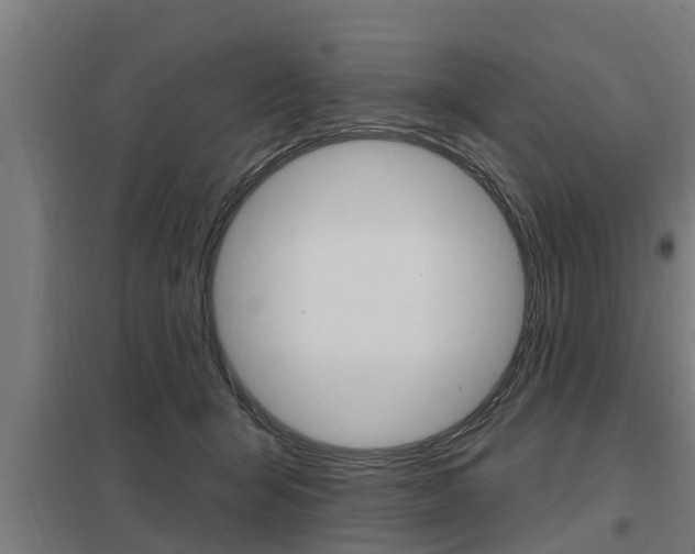 X0000098030415200803280736