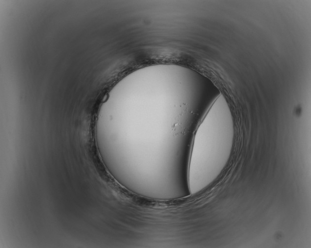 X0000098030416200803280736