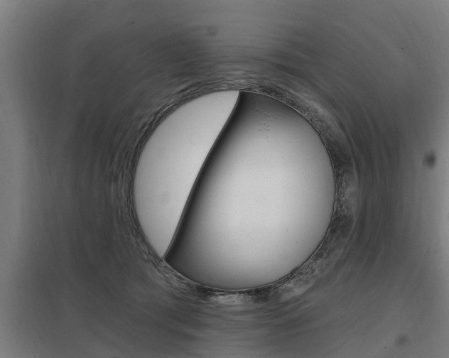 X0000098030417200803280736
