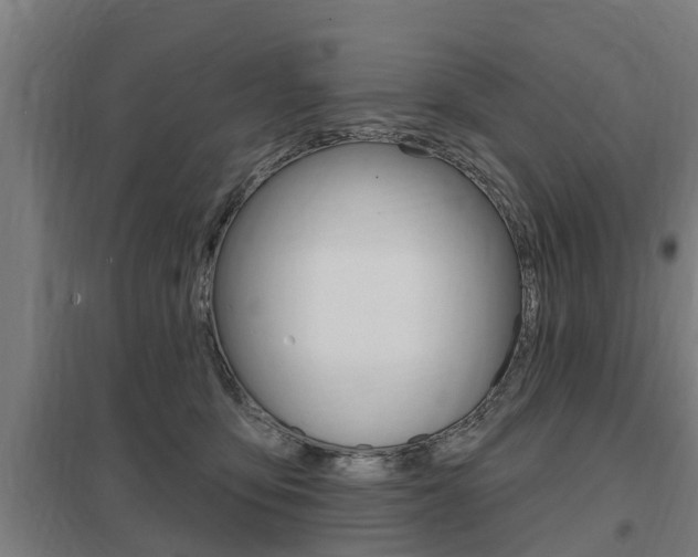 X0000098030419200803280736